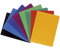 Exacompta 8560E Porte vues OPAK en polypropylène souple mat et opaque avec pochettes intérieures légérement grainées 60 pochettes et 120 vues. Format A4. Couleur de couverture aléatoire