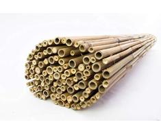 artplants Canisse en Bambou/Clôture Jonah, Naturel, 200x180 cm - Paravent extérieur/Brise-Vue canisse