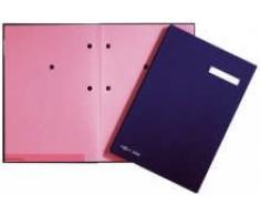 Pagna Parapheur 20 pièces avec couverture Color, dos extensible