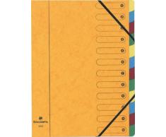 Exacompta 5212E Trieur Harmonika Fenetres Imprimees Nature Future Carte Lustrée 12 Compartiments