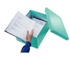 Esselte 16145 Boîte Archives Polypropylène Plastifié 281 x 200 x 370mm Papier Assorties