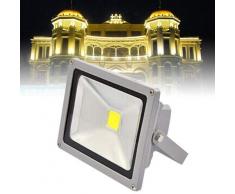 Relaxbx 2 X 30 W Projecteur LED Projecteur dextérieur Lampe de Jardin Projecteur Projecteur Blanc Froid