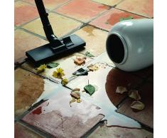 Thomas 786203 Power Pack 1620C Aspirateur Eau et Poussière Bleu/Rouge 38 x 38 x 47 cm/1600 W