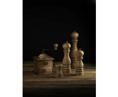 Peugeot Paris Antique Moulin à Sel Bois Patiné 22 cm (30988)