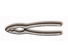 Deglon 2883015-C Casse Noix Inox Casse- Pattes de Crabes