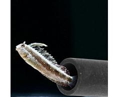 Jiamins 6 Pack Tube en céramique Decoration Aquarium décor daquarium en Céramique Grotte délevage pour crevette et Petits Poisson