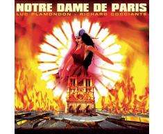 Les oiseaux qu'on met en cage (extrait du spectacle «Notre Dame de Paris 1998») (Live)