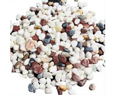 800g g de gravier coloré et de marbre blanc pour décorer fond aquarium avec eau, plantes aquatiques, sable