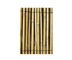 Canisse en Roseau Pelé - 4m x 1.5m