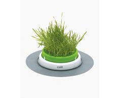 Catit Jardin dHerbe pour chat, Senses 2.0
