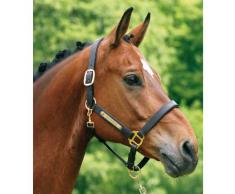 iMARC Plaque pour cheval arrondi gravé pour licol, bridon ou selle 6,3 x 0,9 cm