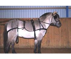Cwell Equine Cheval en Nylon Robuste Harnais de Chariot de Conduite avec Selle Bride etc. – D/F/C/P/S/M Noir (complète)