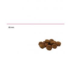 Advance Croquettes pour Chat Stérilisé Saumon et Orge 3 kg