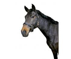 Kerbl Eco Cuir Licol pour Poulain, Mixte, Eco Leather, Noir, Grösse 00: Fohlen