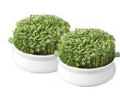 Germline - Germoir - Coupelle de germination - lot de 2