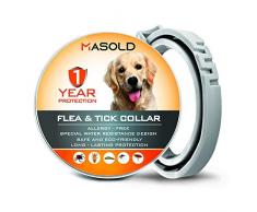 MASOLD Collier Antipuces et Antitiques pour Chiens Collier pour Chiens Offrant Une Prévention dun (1) an Contre Les Puces et Les Tiques — Collier réglable, étanche pour Une Protection Naturelle