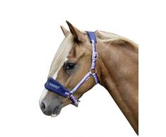 HKM 9224 Licol en Forme de Licol pour Chevaux MS Shetty