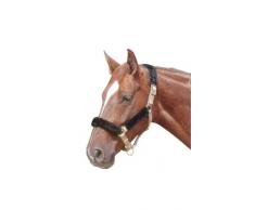 Amka Licol Protège Kit |nasenflausch Licol 4 pièces | genick Protège Nez Protège pour chevaux