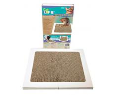 Penn-Plax Catch&Scratch Griffoir pour Chat