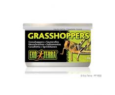 Exoterra Aliment Sauterelles Sauvages Small pour Reptiles et Amphibiens 34 g