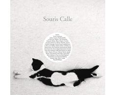 Quand on appelle un chat Souris