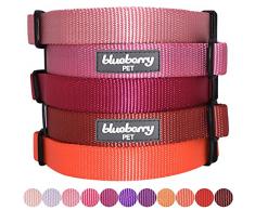 Blueberry Pet Collier Chien Classique Solide 1,5cm Petit Modèle S Polyester Nylon, Conçu pour Durer. Rose Bonbon. Laisse et Harnais Assortis Vendus séparément