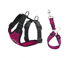 Nasjac Harnais de voiture pour chien, harnais avec ceinture de sécurité multifonction, tissu rembourré, respirant, sangle élastique réglable dans le véhicule pour les promenades