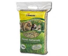 Gimpet Foin Pour Rongeurs