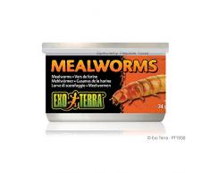 Exoterra Aliment Vers de Farine pour Reptiles et Amphibiens 34 g