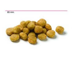 Affinity ADVANCE Croquettes pour Chien Troubles Rénaux 12 kg