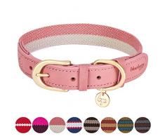 Blueberry Pet Vintage Chic Bicolore Collier pour Chien en Cuir véritable en Rose et Gris, Moyen Modèle, Tour de Cou 38cm-46cm