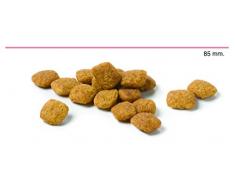 Advance Veterinary Diets Croquettes pour Chat Troubles urinaires 8 kg