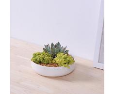 Ronde en céramique Pot de fleur blanche baie vitrée planteur en céramique pour Succulentes déco bureau pot Bonsai