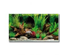 AMTRA WONDER, Fond Aquarium Double, Décoration Aquarium, Poster décoratif Impression Double, Format 45x100cm