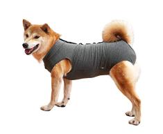 Dotoner Combinaison de récupération pour Chien, Chat, Protection Abdominale pour Chiot, Chiot, vêtements chirurgicaux, Gilet Post-opératoire pour Animal de Compagnie après Une Chirurgie(M,Gris)