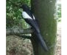 Plastique Statue Pie Epouvantail Plante Protection du Jardin Leurre de Chasse