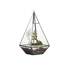 Suspendre moderne Pyramide de verre géométrique Terrarium Tabletop Succulent Jardinière Box Jardinière Fern Moss Grand Ciel Ouvert 24 cm Hauteur Jardinière pour Moss Fern Succulent Cacti