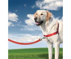 PetSafe - Harnais pour Grand Chien Easy Walk (L) - Résistant - Anti-Traction avec 4 Points de Réglage pour Un Confort Maximal - Rouge