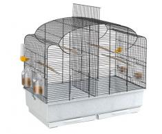 Ferplast Canto Cage, Livrée avec Accessoires, Métal Robuste Vernis Noir, Bac en Plastique Blanc pour Canaris et Oiseaux Exotiques, Petite Cage de Reproduction avec Séparation, 71 x 38 x 60,5 cm