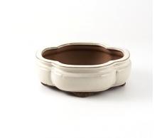 Crespi Bonsai v987/1 Pot pour Bonsai, Beige, 21 x 17.5 x 7.3 cm