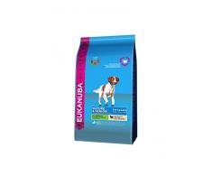 Eukanuba Croquette à lAgneau/au Riz pour Chien Senior 12 kg
