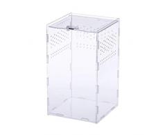 Terrarium Phasme - Terrarium Pour Insectes,Petite Ventilation Et Dissipation De La Chaleur Pour Empêcher Les Animaux De Compagnie De Séchapper, Convenant À Lalimentation Ou Au Transport Des Reptiles