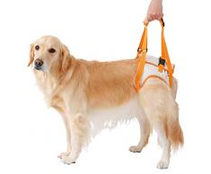 Morezi PetSafe CareLift Harnais de levage pour chien pour pattes arrière 0435