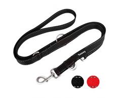 Toozey Laisse Double pour Chien en Nylon avec 3 Compartiments réglables et réfléchissants 2 m