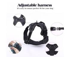 rabbitgoo Harnais Chien Anti Traction, Arnet pour Chien Facile à Mettre Harnais Réfléchissant Réglable avec Attache Devant Easy Walk Arnais pour Chien Moyen, Large, Couleur Noir