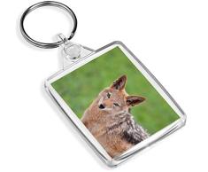 Chabraque Chacal Fox Dog Keyring Animal Sauvage Fun # 12492 Cadeau Keyring
