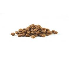 Purina One Spécial Chat Stérilisé - au Poulet et au Blé - 6 KG - Croquettes pour Chat Adulte