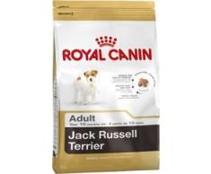 ROYAL CANIN/Jack Russel Terrier Adult Sac de 7,5 kg Croquettes pour chien Jack Russel à partir de 10 mois