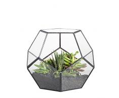 Terrarium en forme de dodécaèdre et plaques de verre pentagonales pour plante Transparent, claire, Taille