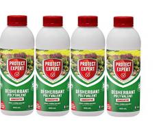 PROTECT EXPERT PROHERBIO800X4 PROHERBIO800 Désherbant Polyvalent Concentré | Lot 4X 800ml | Longue durée: Jusqu’à 4 semaines, Puissant